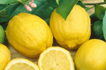 Lemon