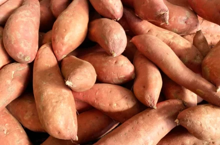 Sweet potato