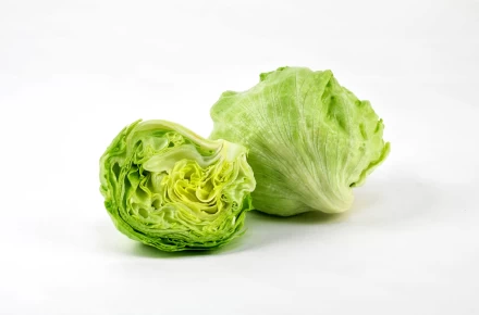Iceberg Lettuce